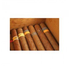 Baker White Havana Nights